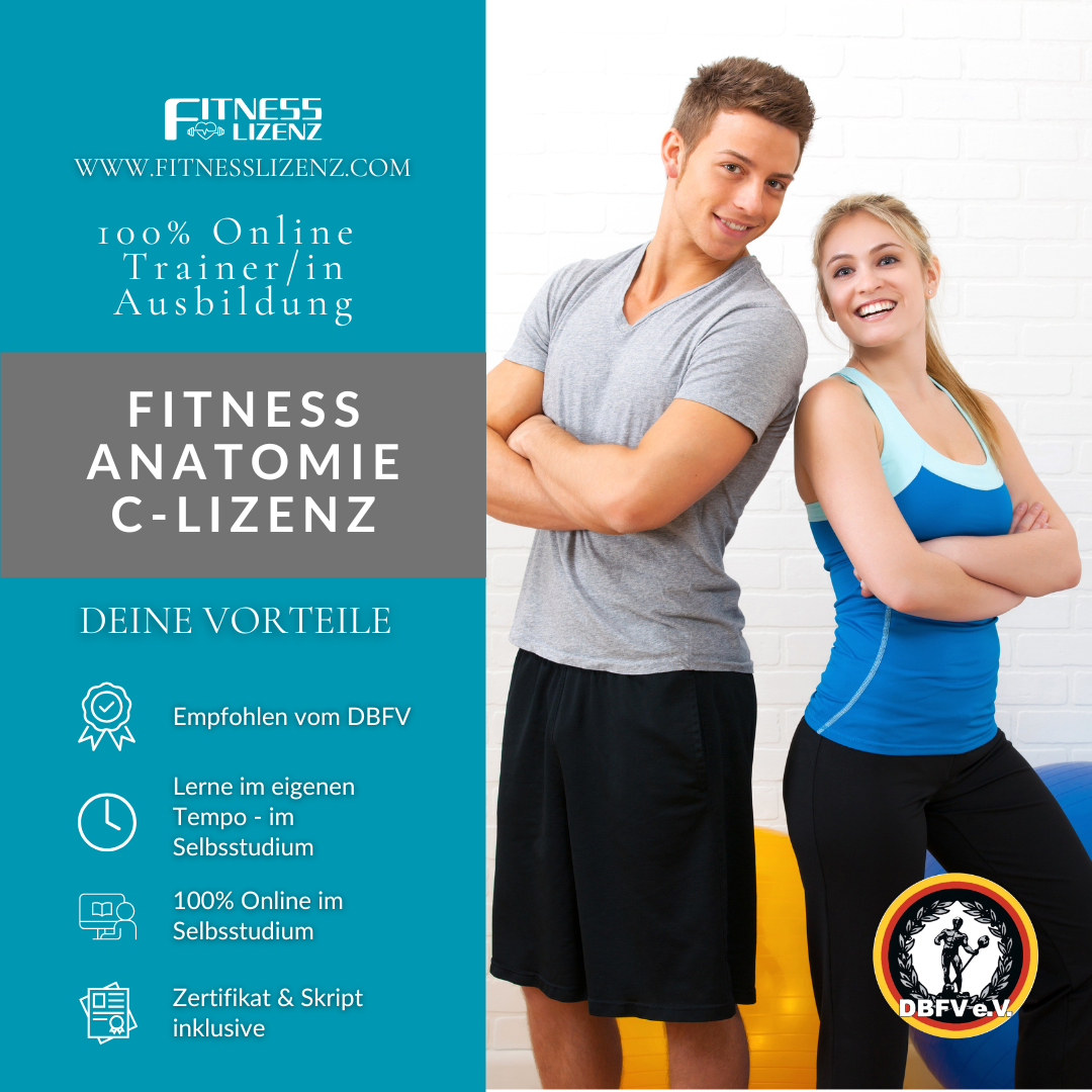 Trainer/in für Fitness Anatomie "C-Lizenz"