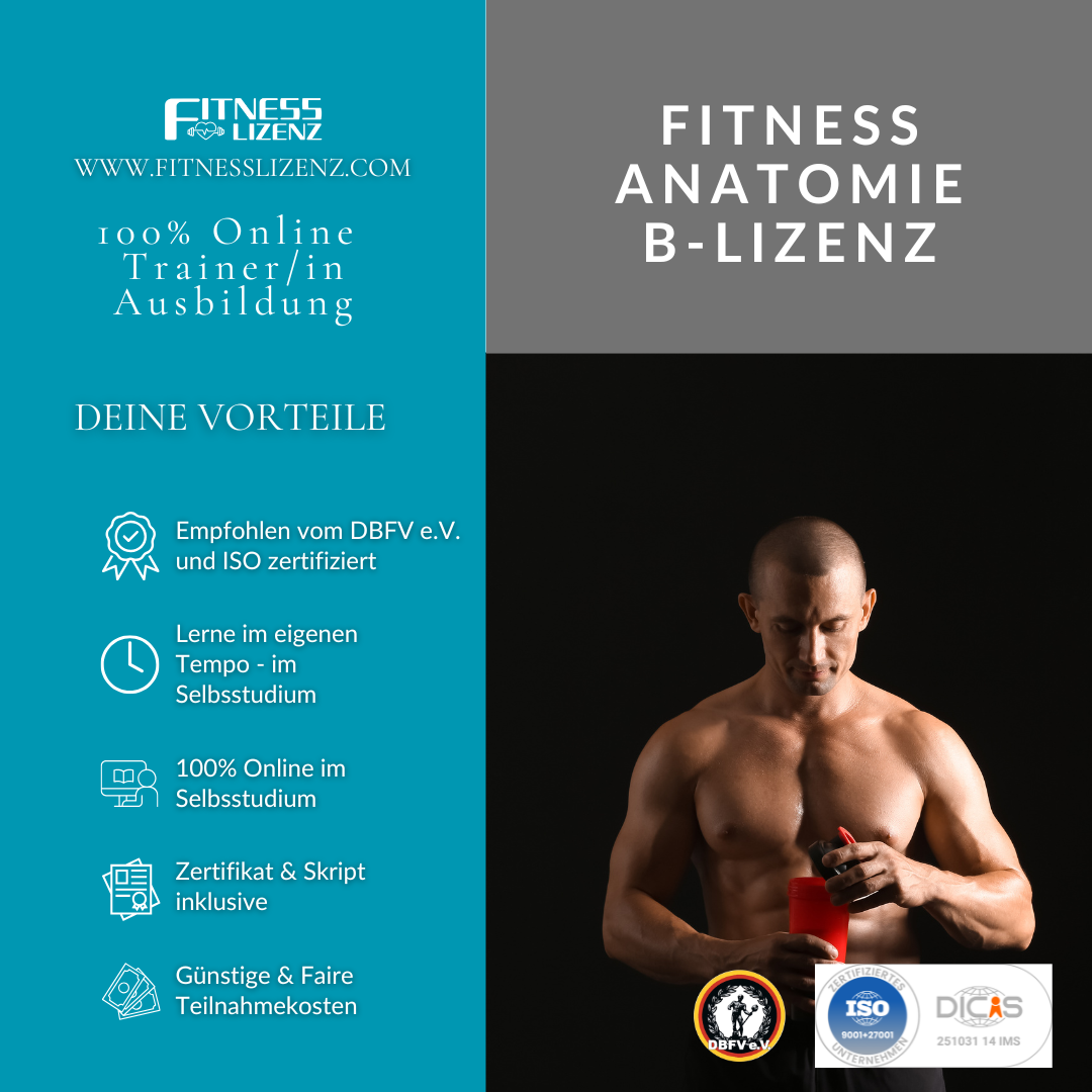 Trainer/in für Fitness Anatomie "B-Lizenz"