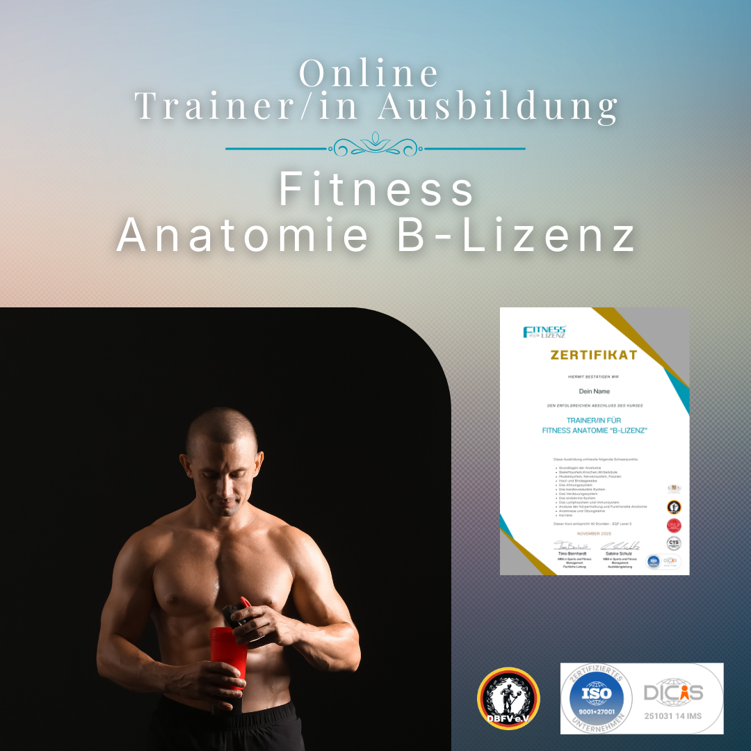 Trainer/in für Fitness Anatomie "B-Lizenz"