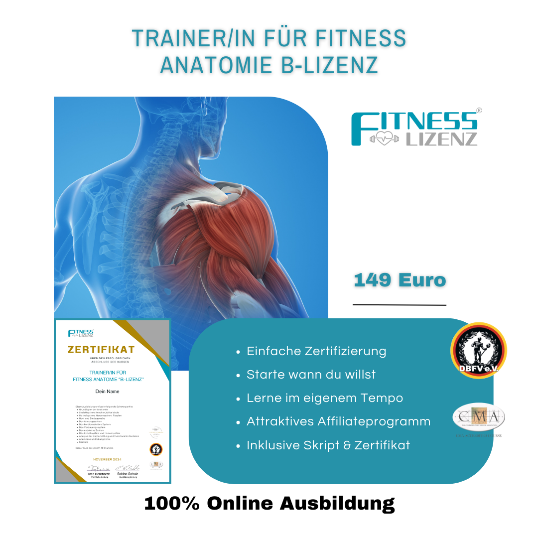 Trainer/in für Fitness Anatomie "B-Lizenz"