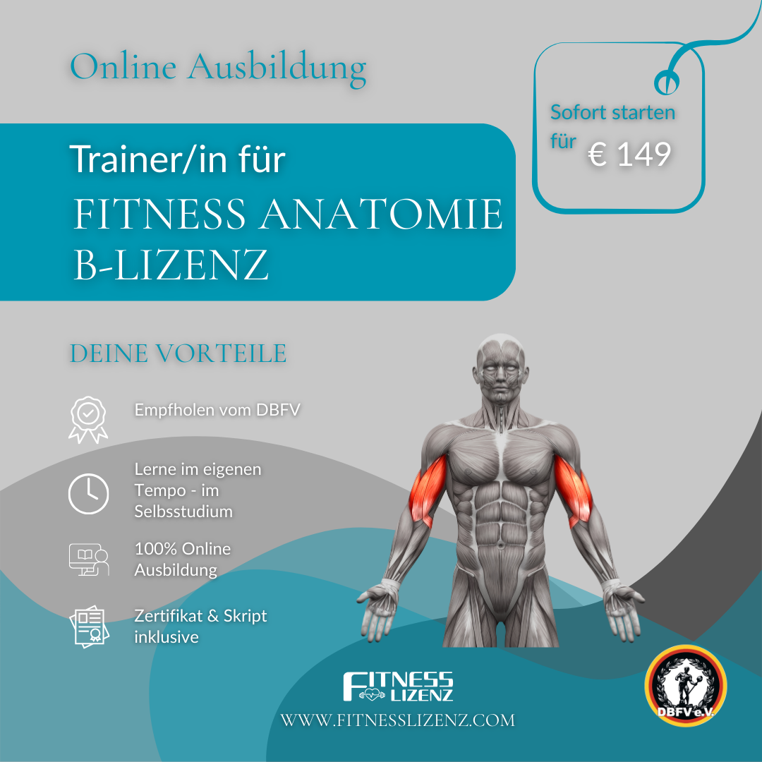 Trainer/in für Fitness Anatomie "B-Lizenz"