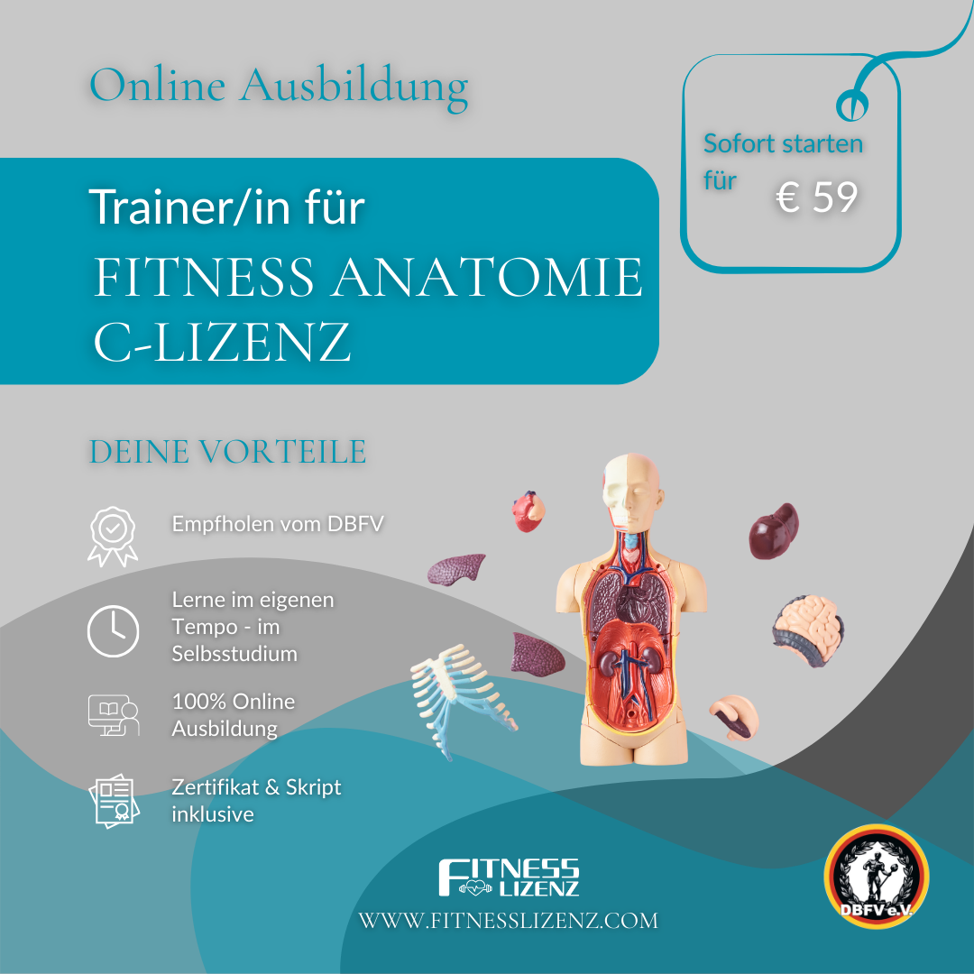 Trainer/in für Fitness Anatomie "C-Lizenz"